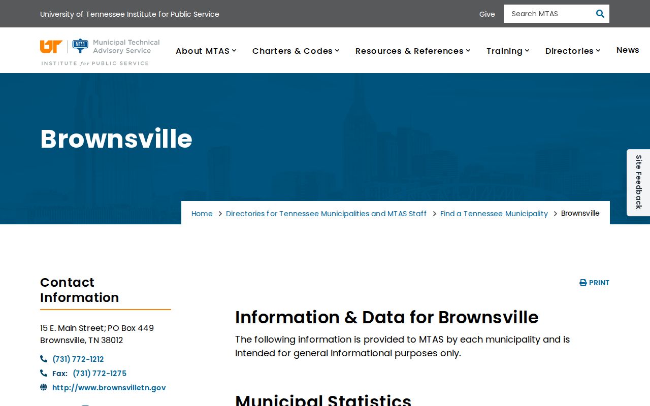 Brownsville court docket municipal profile